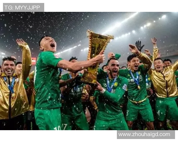 武汉排球队的崛起与蜕变：总决赛背后的奋斗与荣耀故事